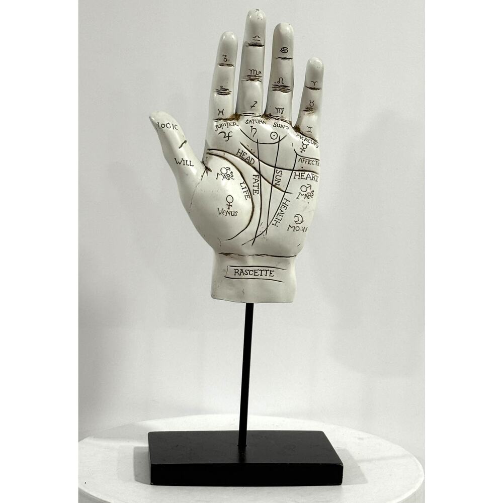 Tarot Hand Statue Mystical Fortune Teller Curiosity Cabinet Decor Display Stand